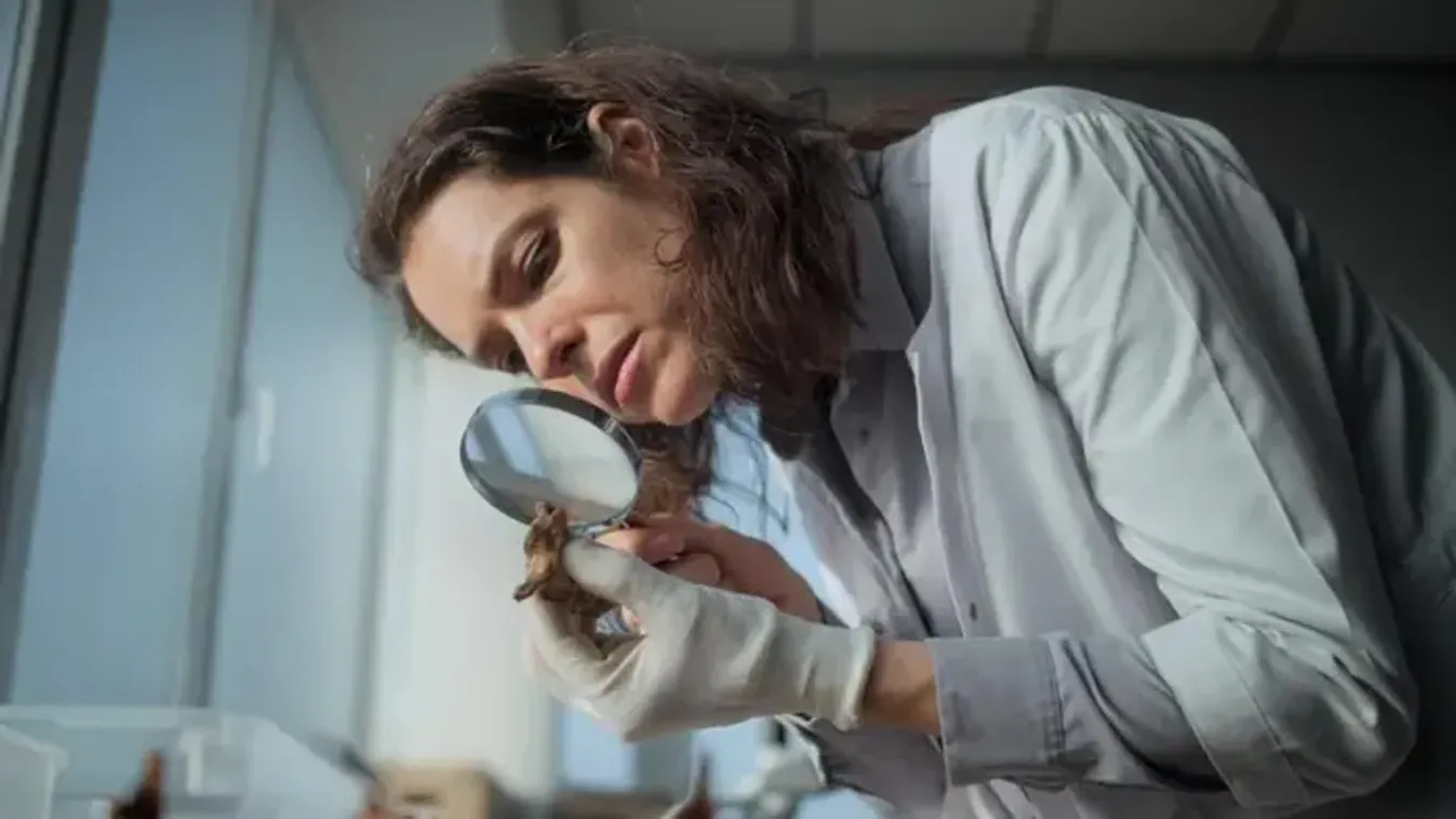 Arcokat lát mindenütt? - Meglepő magyarázat született az egyik legfurcsább emberi jelenségre