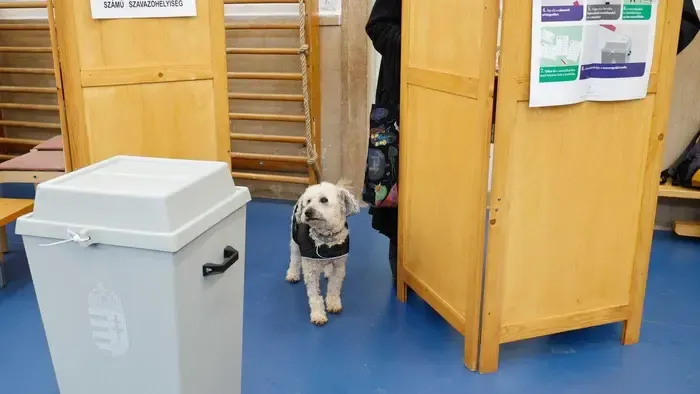 Rengetegen fognak az urnákhoz járulni vasárnap, figyelmeztetést adott ki a Nemzeti Választási Iroda