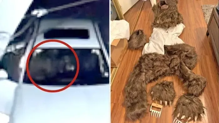 Medvejelmezben elkövetett biztosítási csalás miatt ítéltek el három embert Kaliforniában