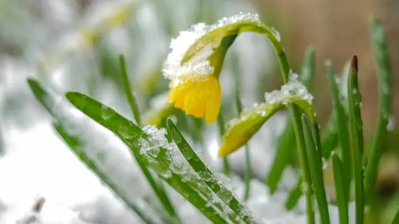 Szabadnapokat vett ki a tavasz – riasztást adtak ki több vármegyére