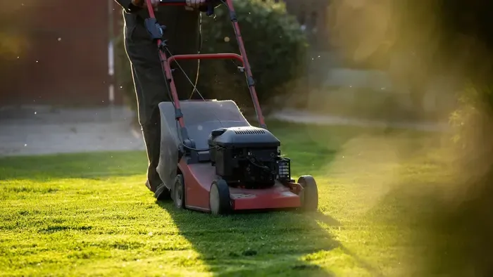 Fűnyírás közben jött a sokk: tíz aranyrúd hevert az avarban