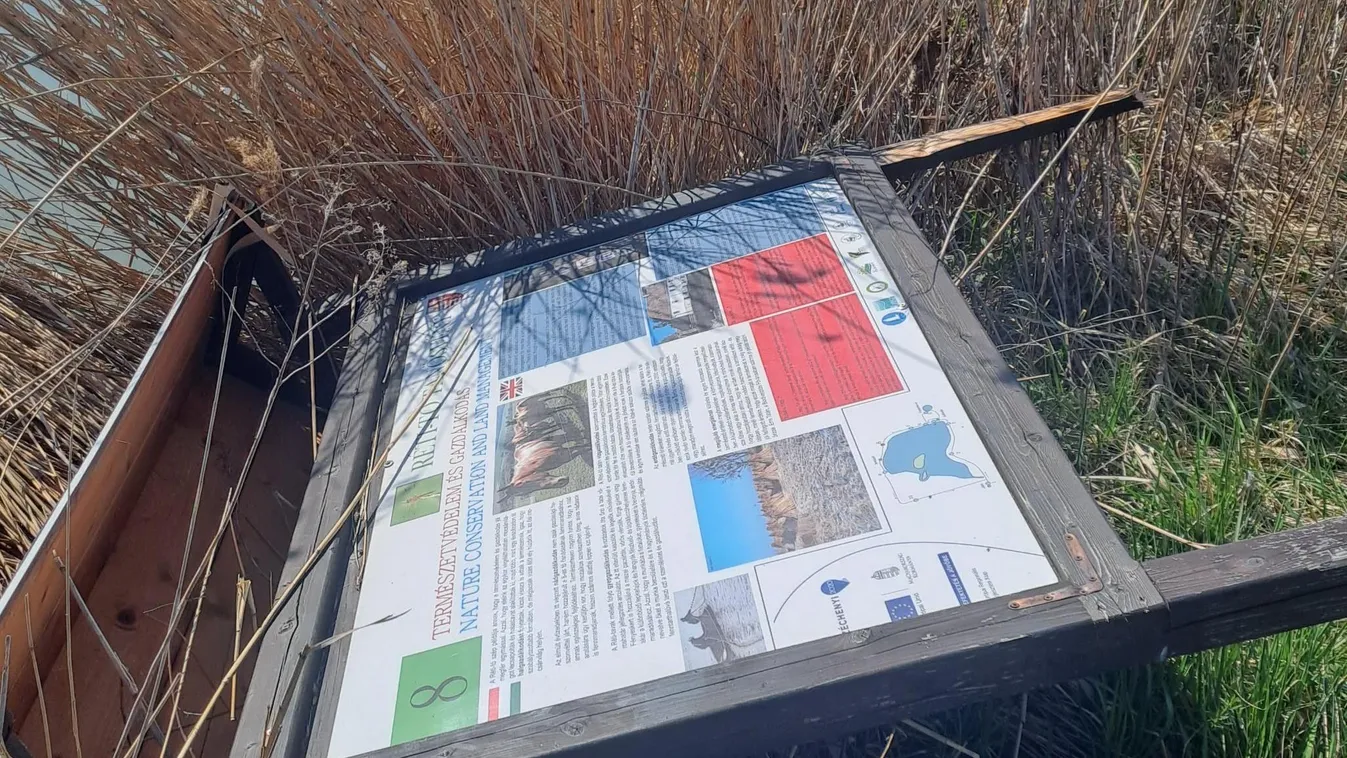 Döbbenetes pusztítás Tatán, rá se ismerünk a környékre