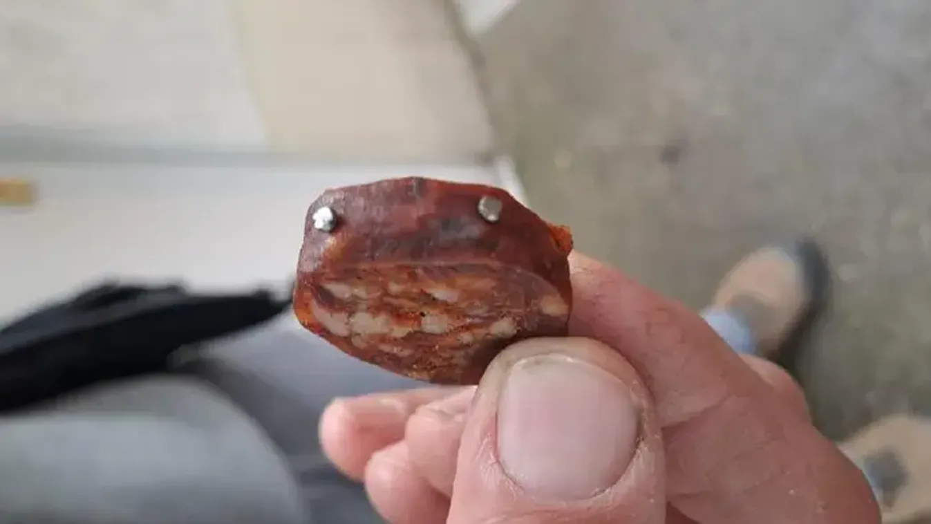 Kegyetlen módszerrel akarta elpusztítani a szomszéd kutyáit egy fóti férfi