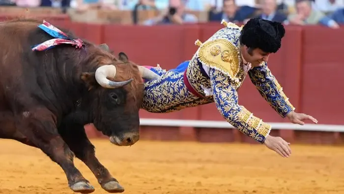 Végbelén szúrt egy férfit egy bika, videón a fájdalmas jelenet
