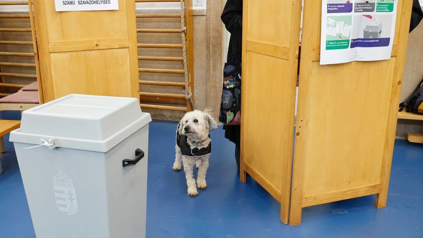 Rengetegen fognak az urnákhoz járulni vasárnap, figyelmeztetést adott ki a Nemzeti Választási Iroda