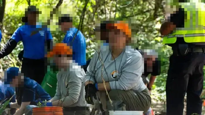 Három kisgyermek maradványait találták meg egy erdős részen