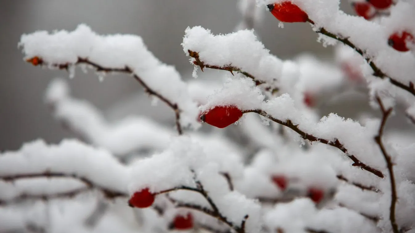 Holle anyó újra akcióban: Fotókon a Borsod vármegyei havazás