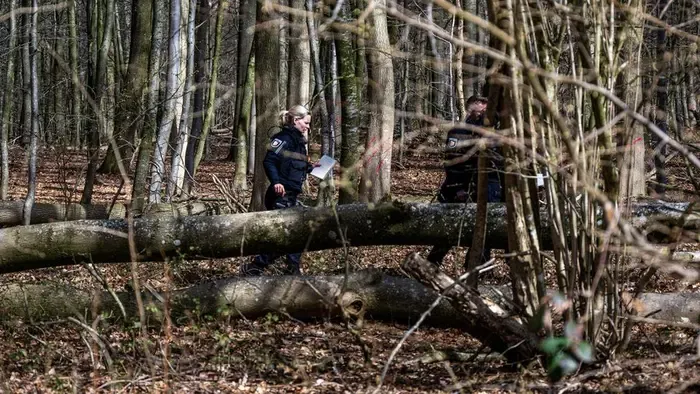 Húsvéti tojásokat kereső csoportra dőlt egy fa Németországban, többen meghaltak
