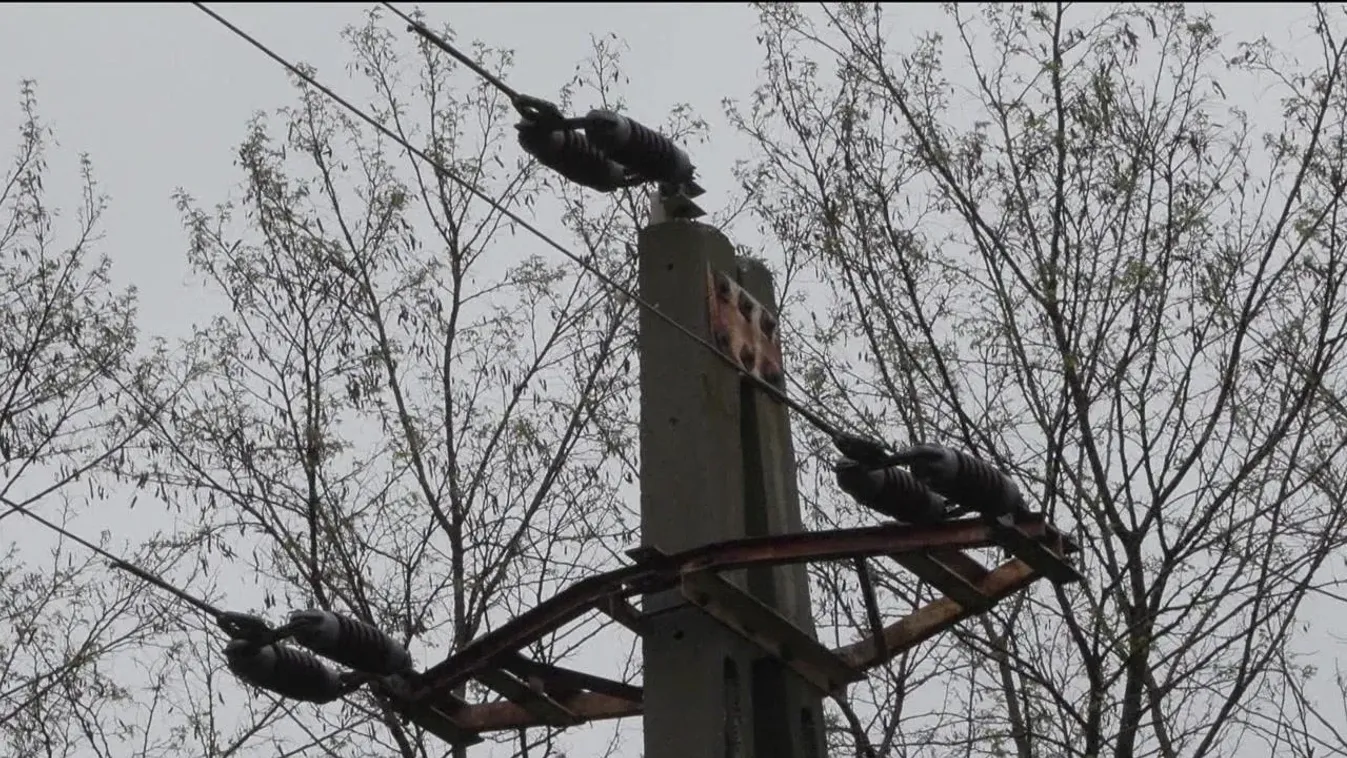 Agyonütött az áram egy kislányt a poroskői tónál