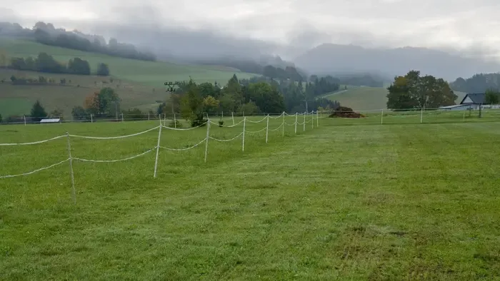 Mintha Hitchcock filmje elevenedne meg: Egyre több az áldozat, a gazdák tehetetlenek