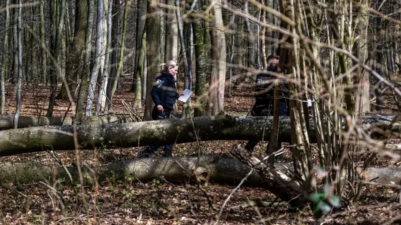 Húsvéti tojásokat kereső csoportra dőlt egy fa Németországban, többen meghaltak