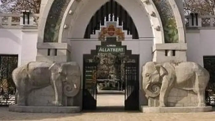 Megszakad a szív: búcsúzik a rajongók kedvence, Samu - fotóval