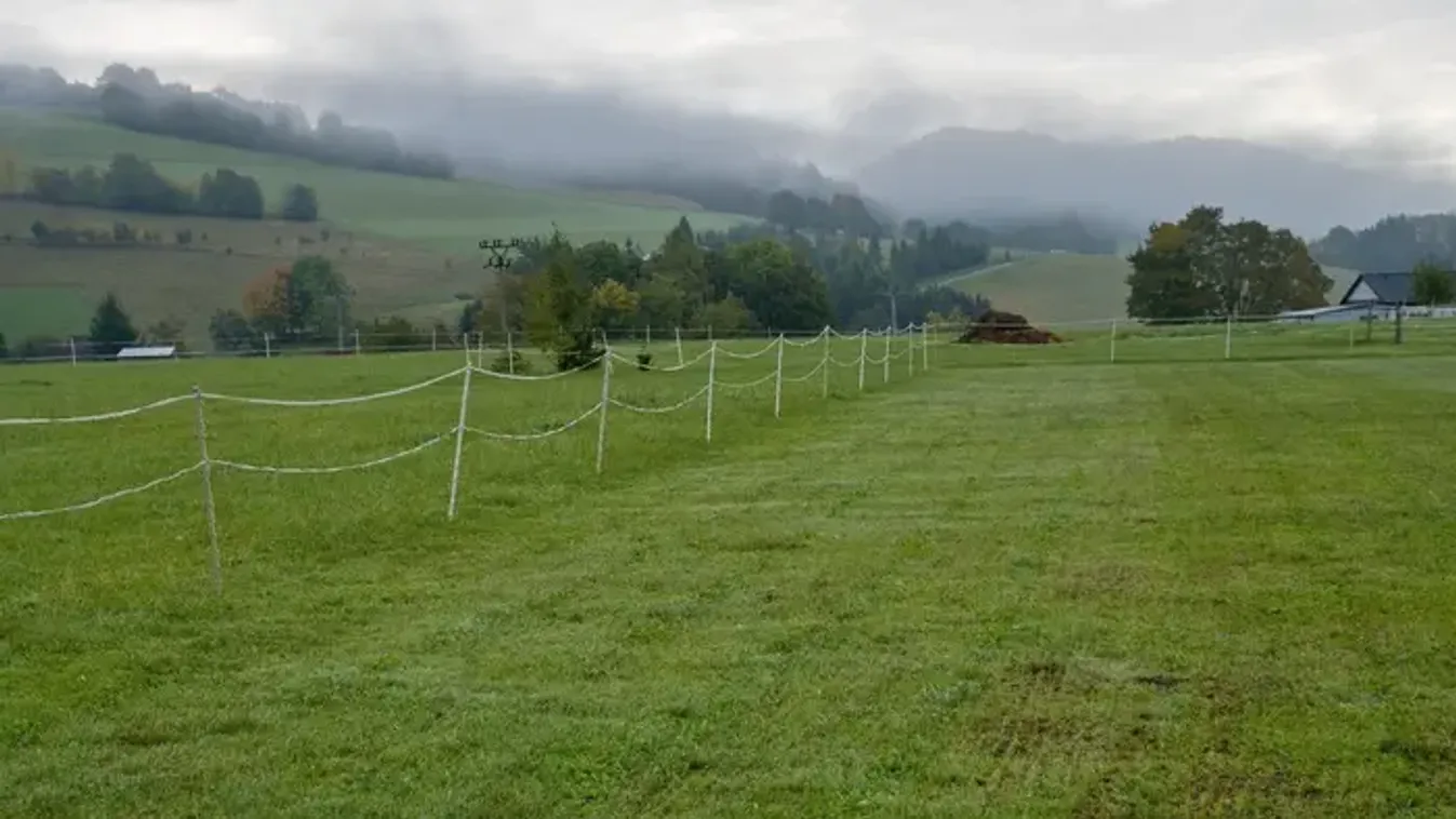 Mintha Hitchcock filmje elevenedne meg: Egyre több az áldozat, a gazdák tehetetlenek