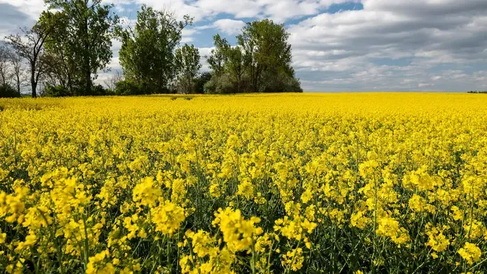 Bekopogott a napsütéses tavasz - és nem siet sehová