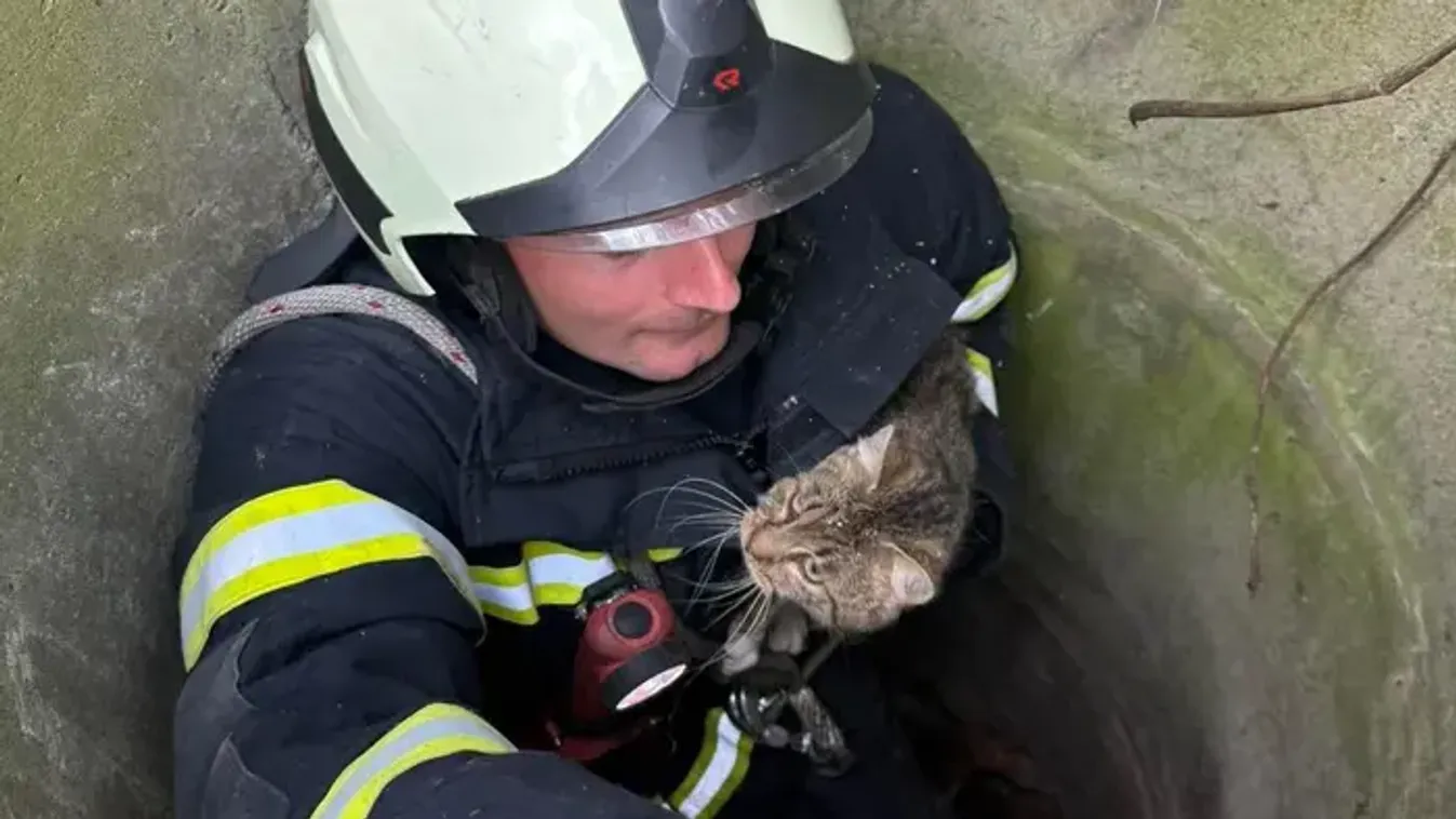 Feszült pillanatok egy borsodi telken: Egy élettel kevesebb lett Csutaknak
