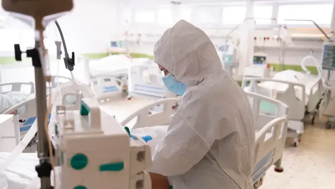 Rémisztő betegség ütötte fel a fejét Borsodban – akár végzetes is lehet, ha nem kezelik