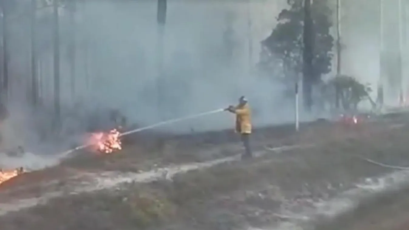 Tovább növekedett az erdő- és bozóttüzek kiterjedése az egyesült államokbeli Georgia államban