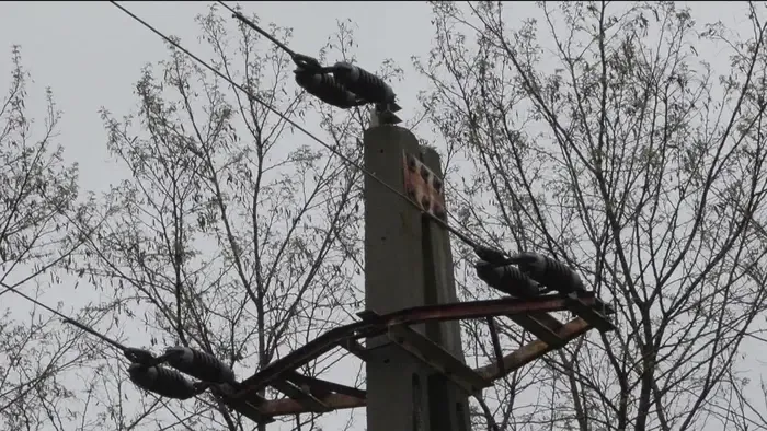 Agyonütött az áram egy kislányt a poroskői tónál