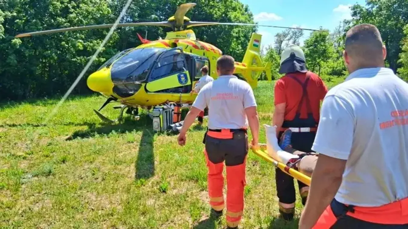Egy nőre bukkantak a Vértesben, drámai esetről érkezett hír