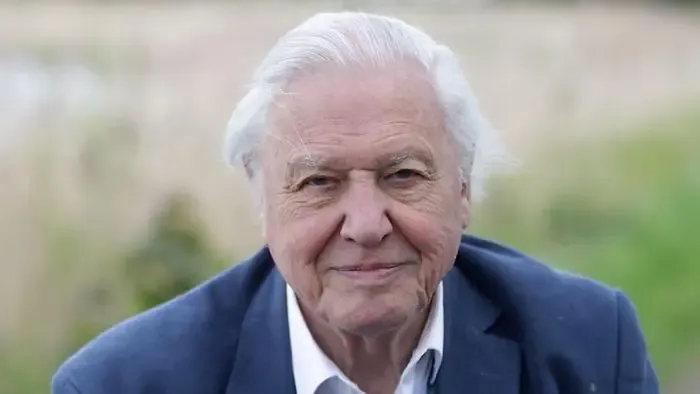 Darázsfajt neveztek el David Attenborough-ról 100. születésnapja alkalmából