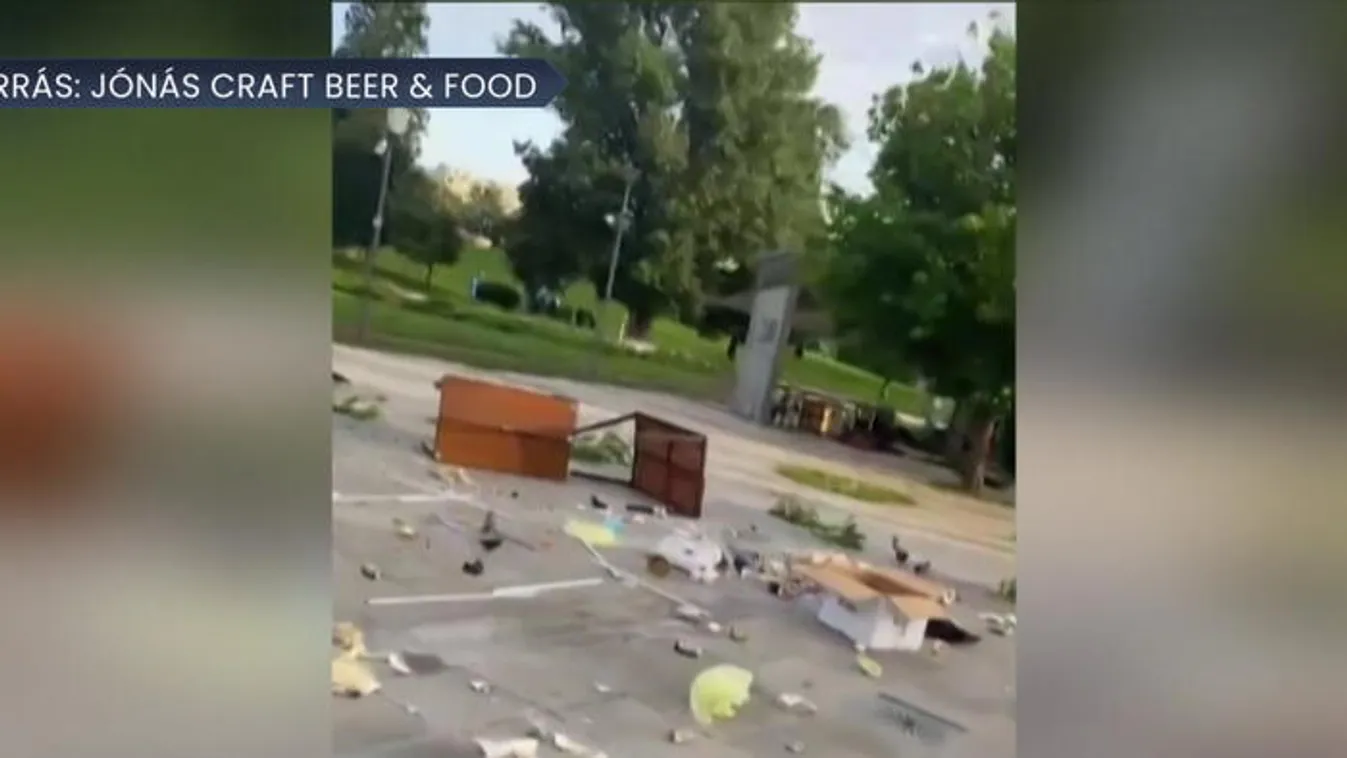 Rombolt-tombolt egy őrjöngő a Bikás parkban