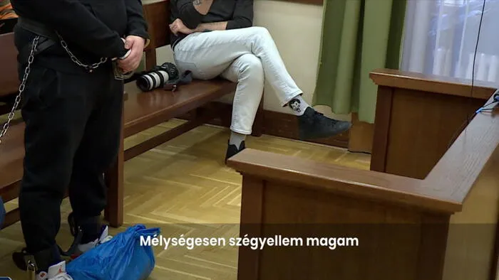 Brutálisan kivégezte anyját, miután hazament egy fesztiválról